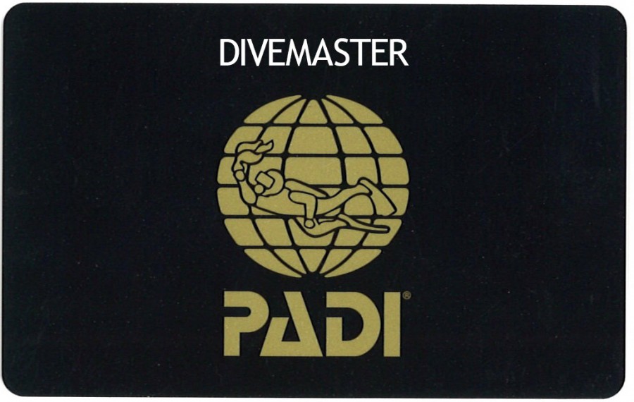 PADIダイブマスターのダイビングライセンスカード