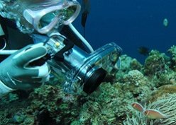 沖縄ダイビングライセンス講習専門店KAHANAが開催するPADIアンダーウォーター・ビデオグラファーSP