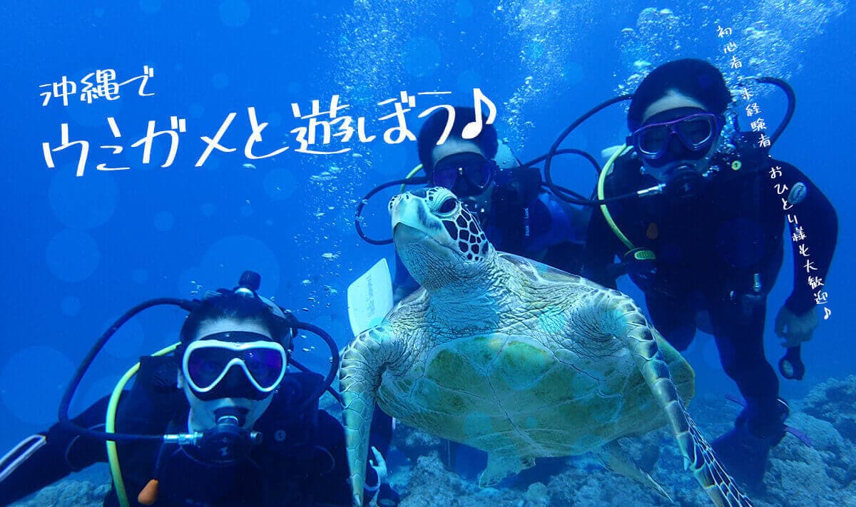 沖縄でウミガメと遊ぼう♪